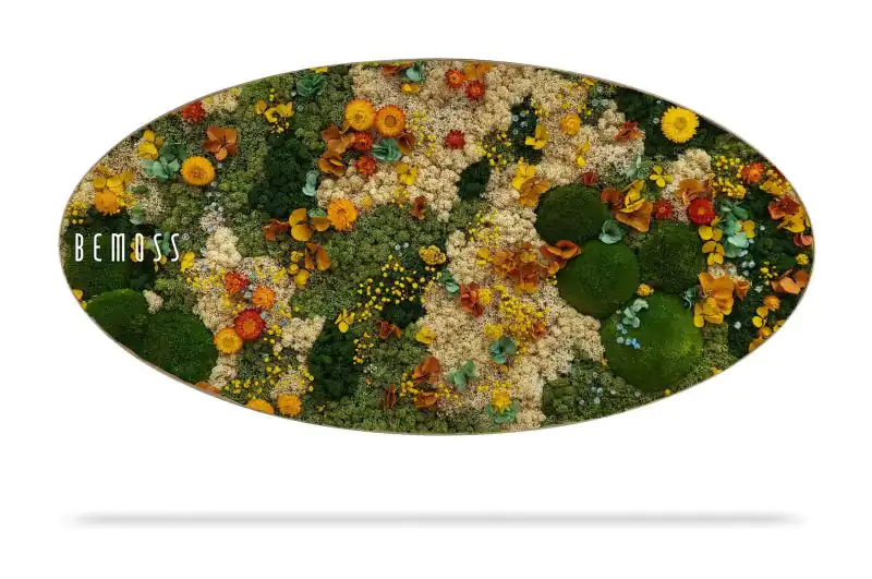 Moosbild Ellipse PFLANZEN  Cadalso