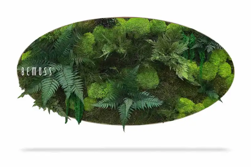 Moosbild Ellipse PFLANZEN Vigo