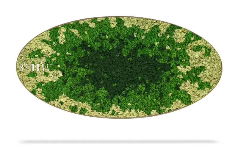 Moosbild Ellipse BEMOSS® SPLASH Green