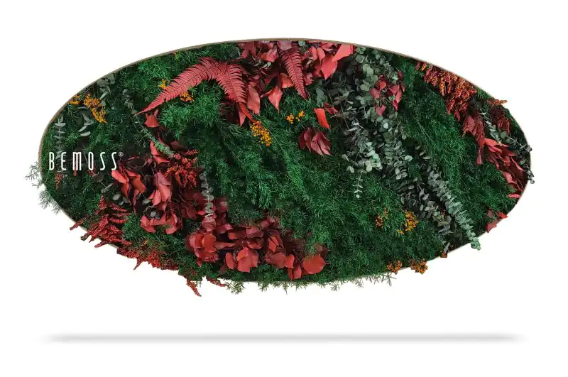 Moosbild Ellipse PFLANZEN Zorita