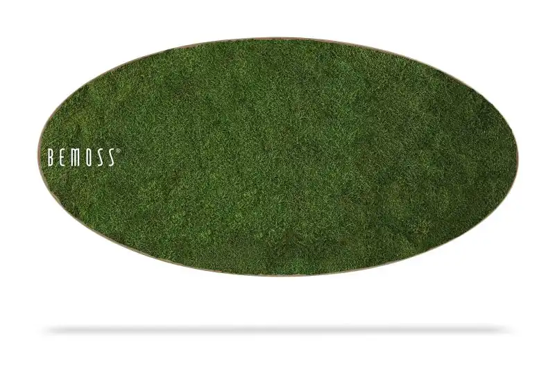 Moosbild Ellipse FLACHMOOS