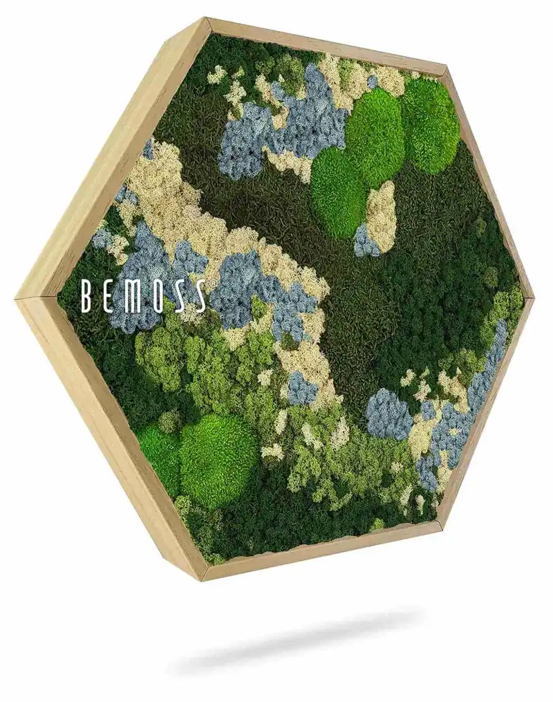 Moosbild Hexagon BEMOSS® ORTHO ICE