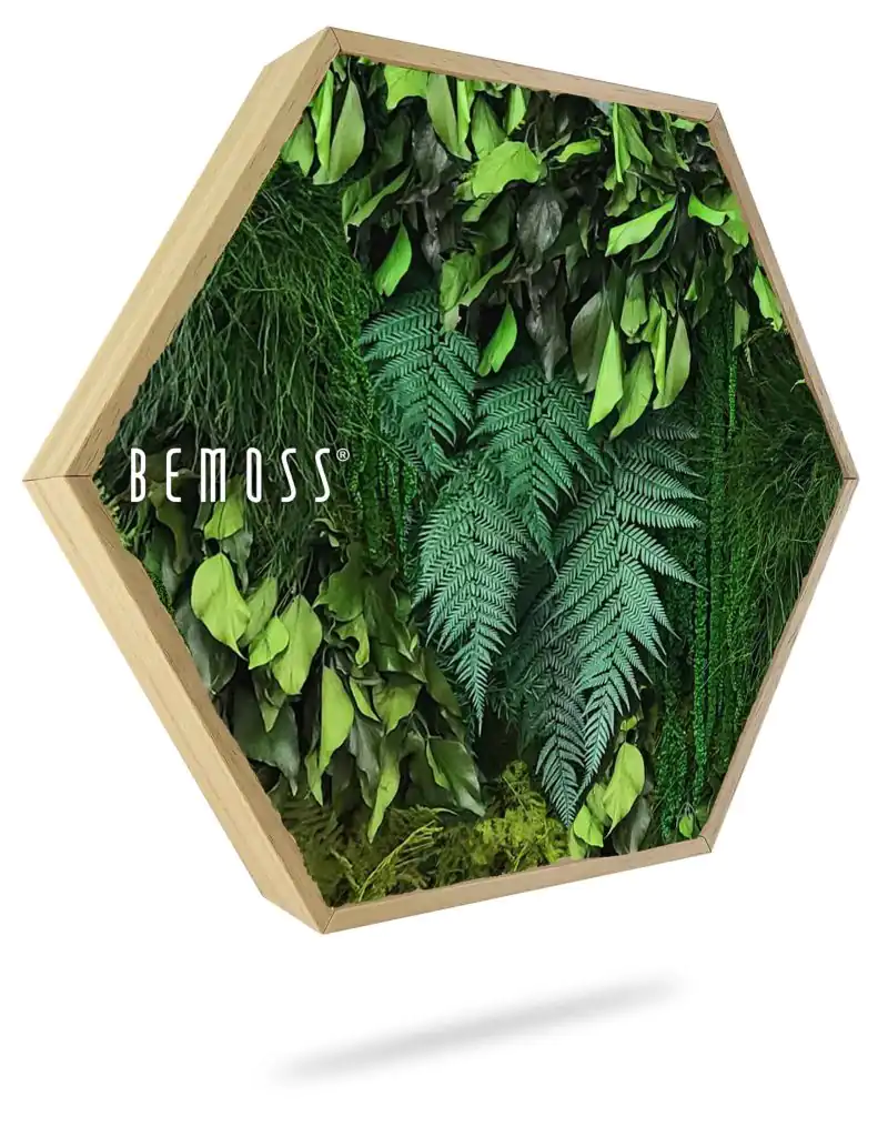 Moosbild Hexagon PFLANZEN Lapas