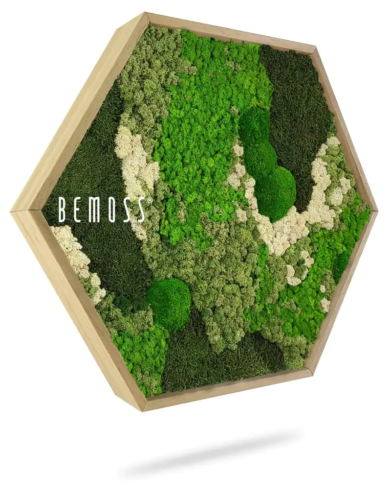 Moosbild Hexagon BEMOSS® ORTHO GREEN