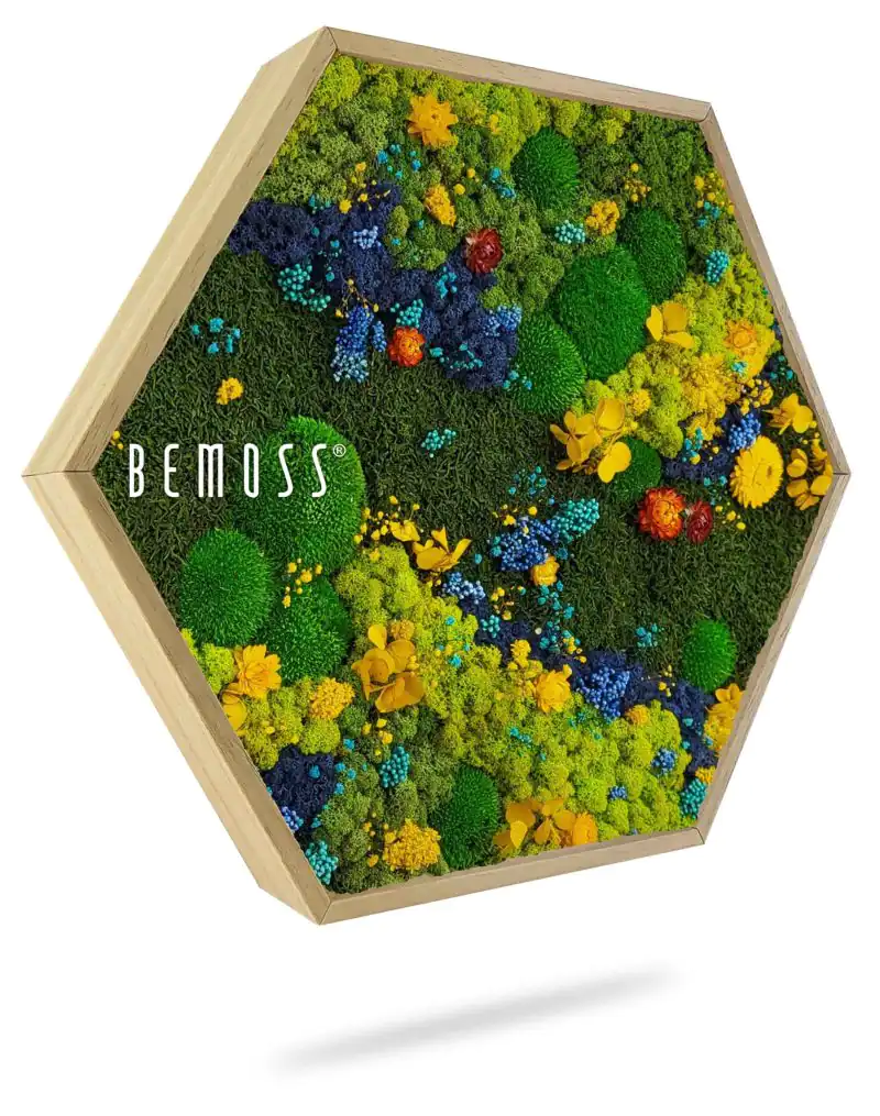 Moosbild Hexagon BEMOSS® ORTHO TORRES