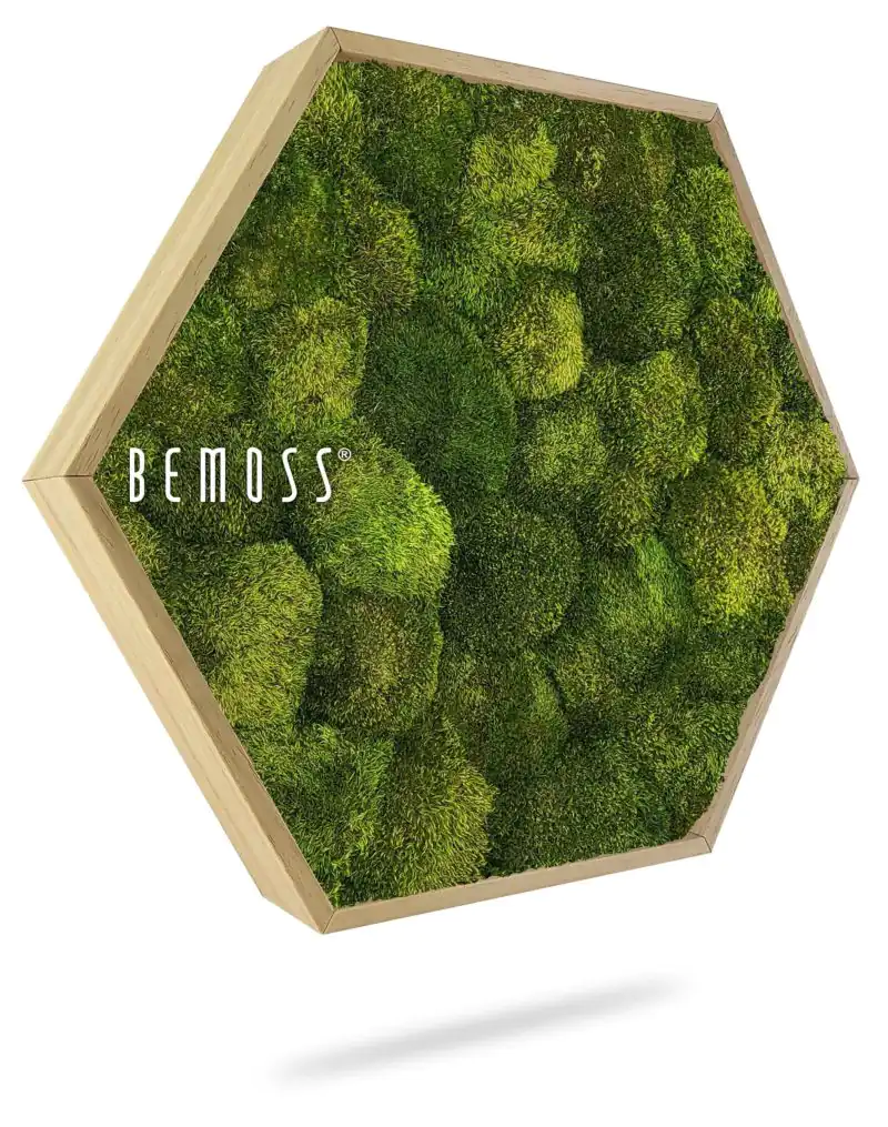Moosbild Hexagon SIBERIAN