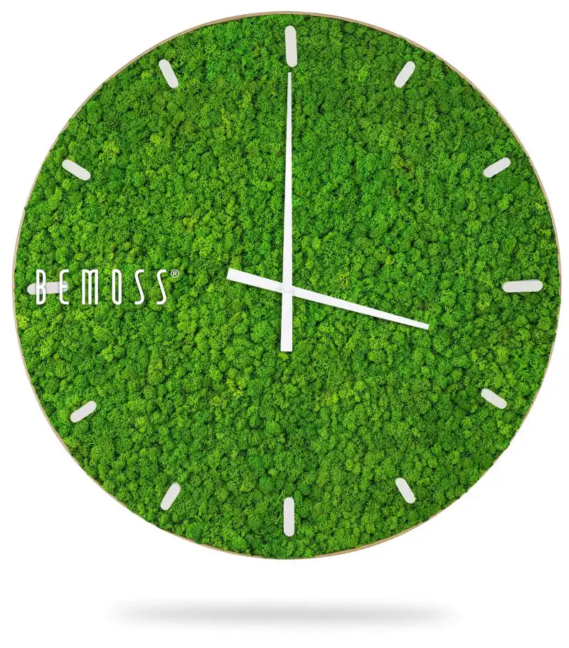 Moosuhr ISLANDMOOS mit Ziffernblatt