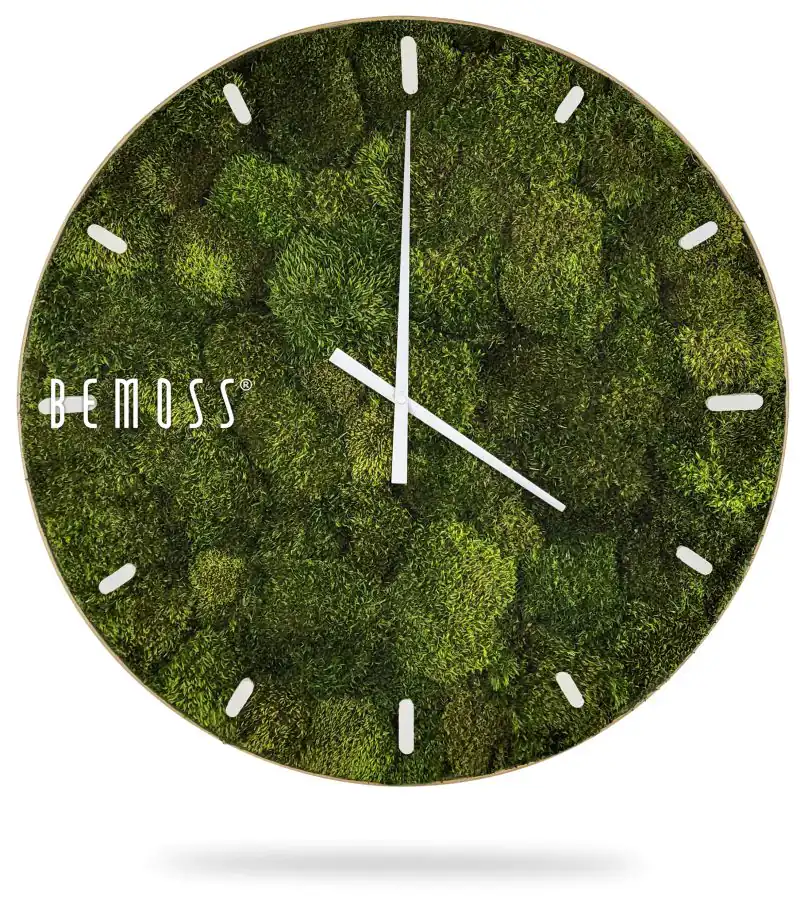 Moosuhr SIBERIAN mit Ziffernblatt
