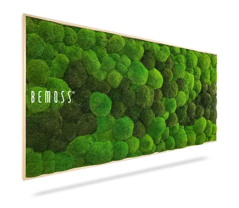 Moosbild KUGELMOOS DUO Light Green