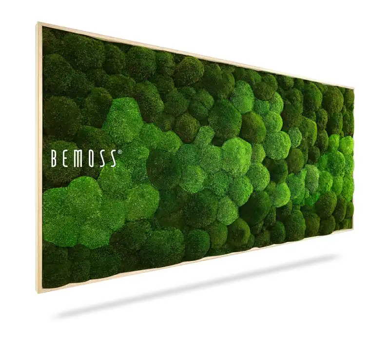 Moosbild KUGELMOOS DUO Natural Green