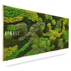 Moosbild BEMOSS® ORTHO TELDE