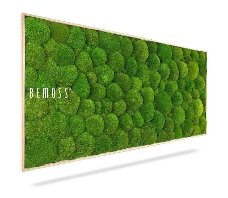 Moosbild KUGELMOOS Light Green