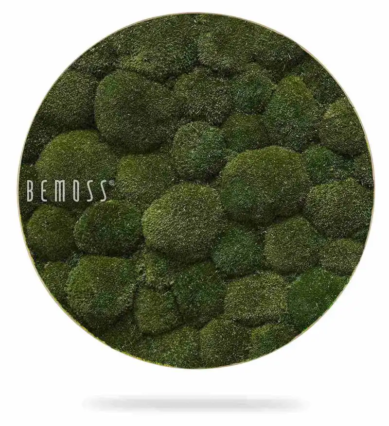 Moosbild Rund KUGELMOOS Natural Green