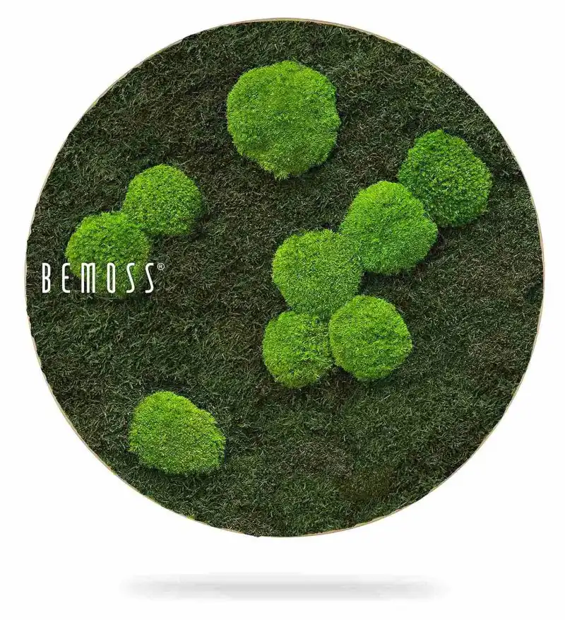 Moosbild Rund FLACHMOOS & KUGELMOOS Light Green