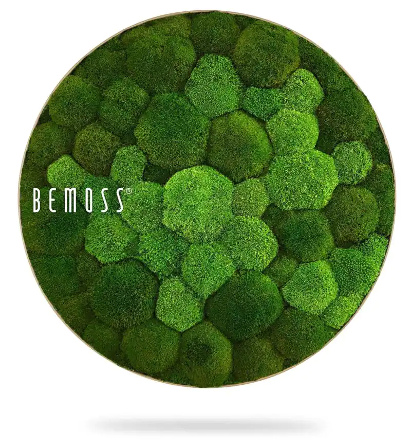 Moosbild Rund KUGELMOOS DUO Natural Green