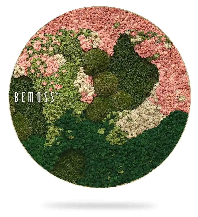 Moosbild Rund BEMOSS® ORTHO PINK