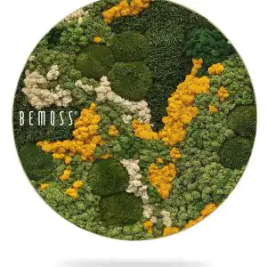 Moosbild Rund BEMOSS® ORTHO YELLOW