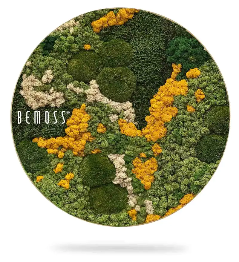 Moosbild Rund BEMOSS® ORTHO YELLOW
