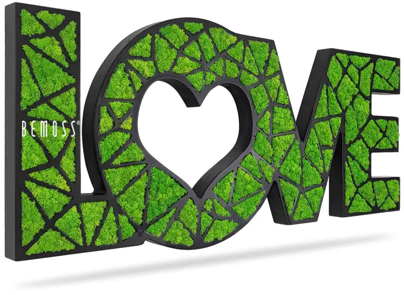 Moosbild Liebe (35x79cm)