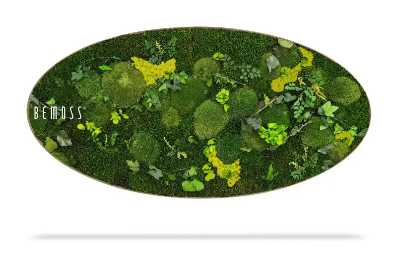 Moosbild Ellipse PFLANZEN  Mesia Lime