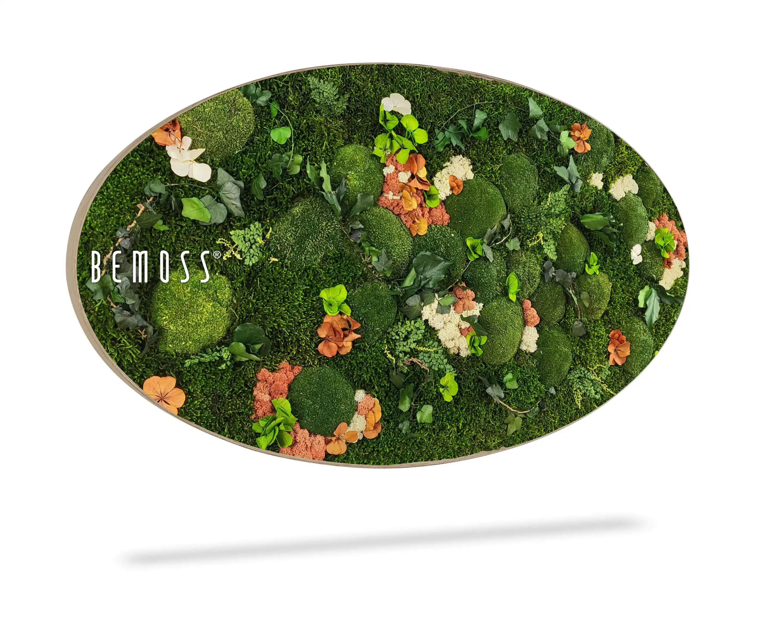 Moosbild Ellipse PFLANZEN  Mesia Mango – Bild 2