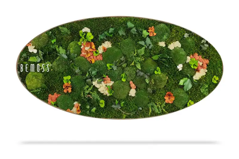 Moosbild Ellipse PFLANZEN  Mesia Mango