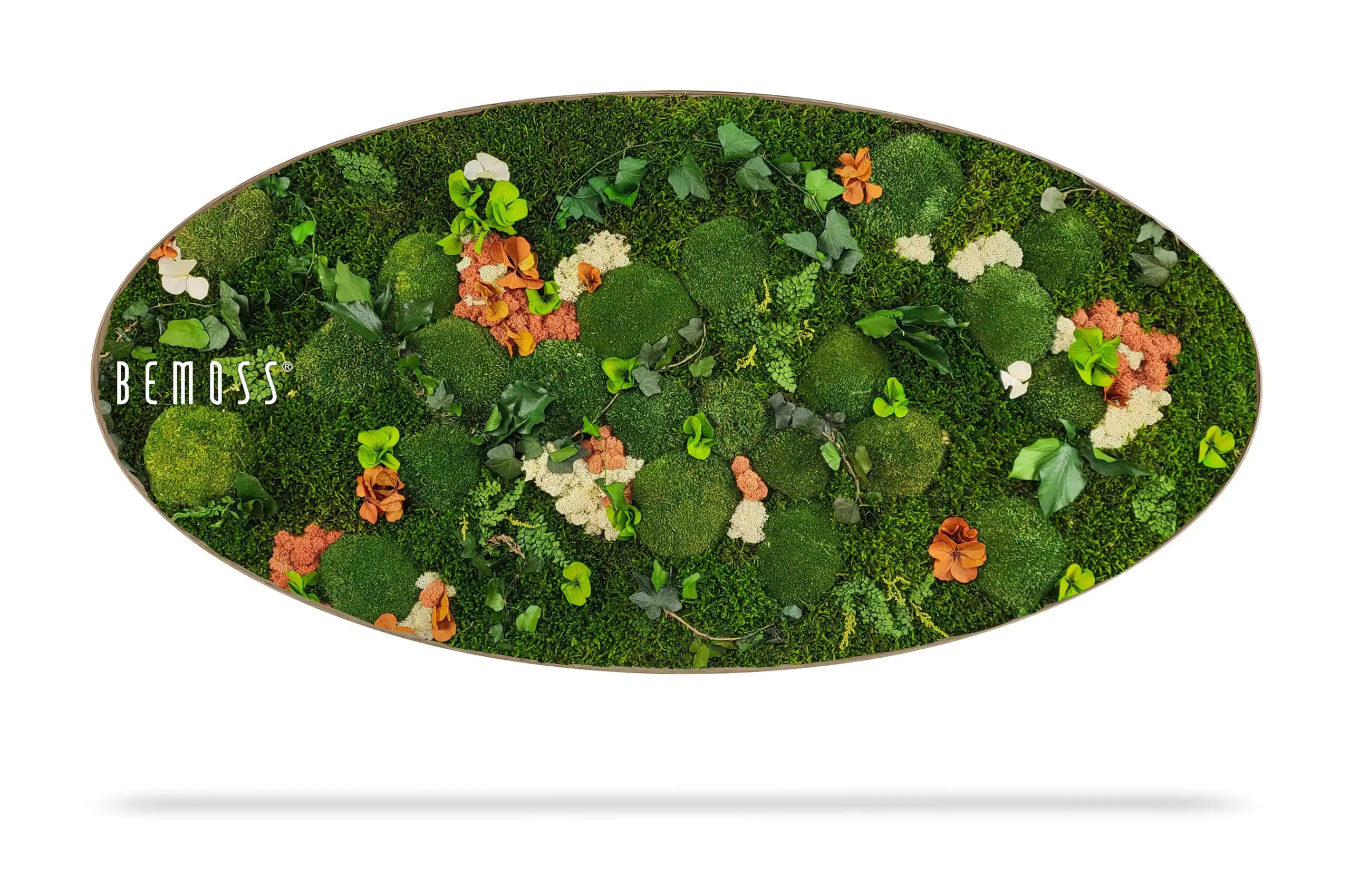 Moosbild Ellipse PFLANZEN  Mesia Mango – Bild 1