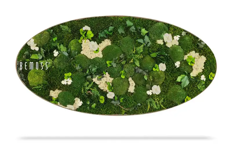 Moosbild Ellipse PFLANZEN  Mesia Natural