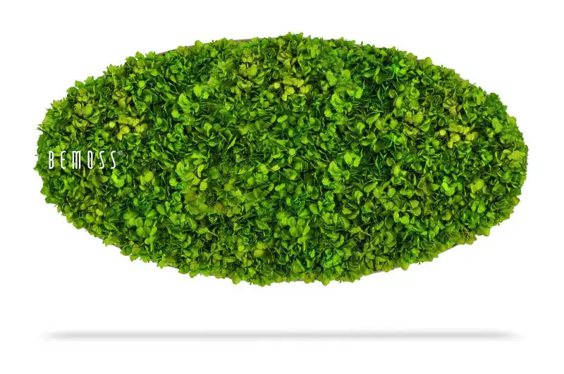 Moosbild Ellipse BEMOSS® MIMI