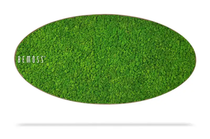 Moosbild Ellipse ISLANDMOOS mono