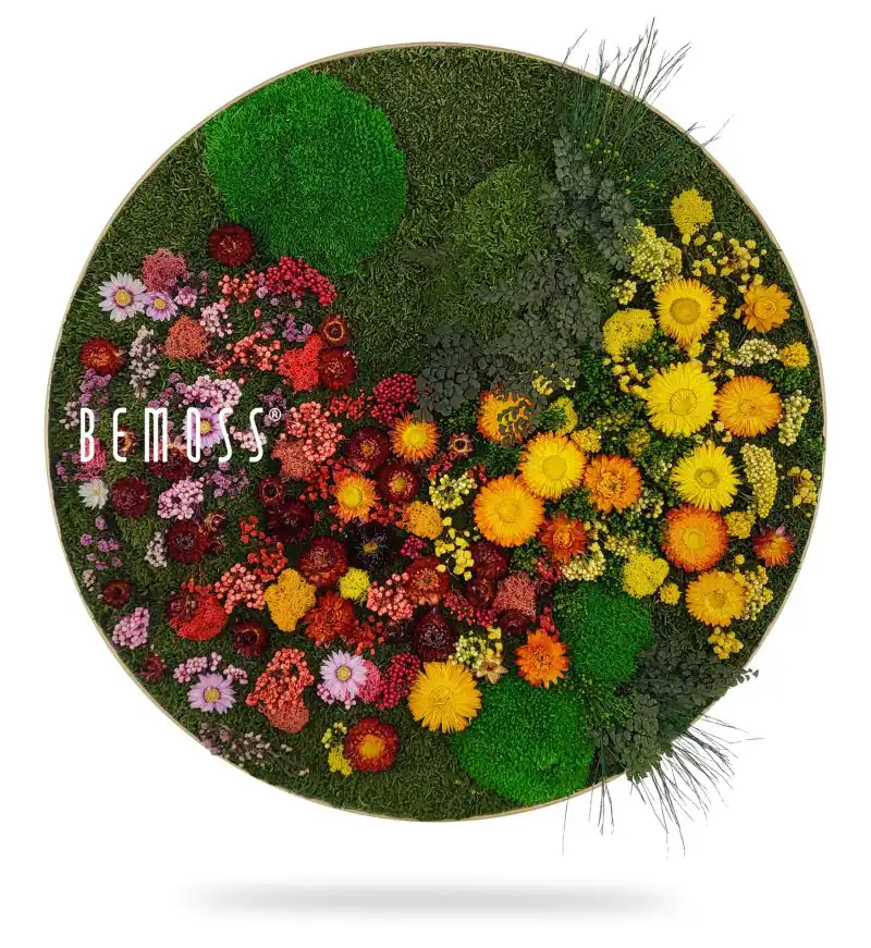 Moosbild Rund PFLANZEN Parra