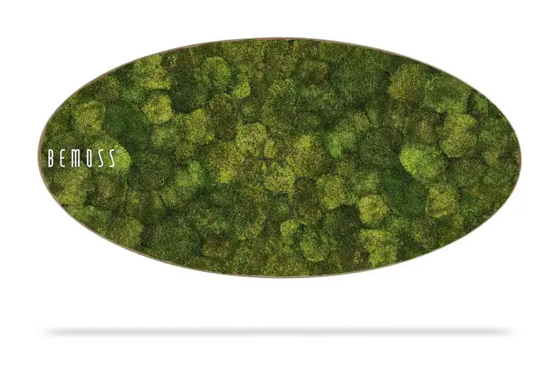 Moosbild Ellipse SIBERIAN