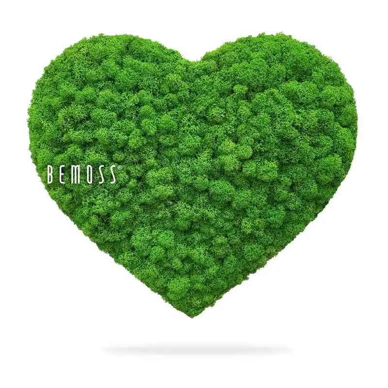 Moos HERZEN ISLANDMOOS mono GREEN