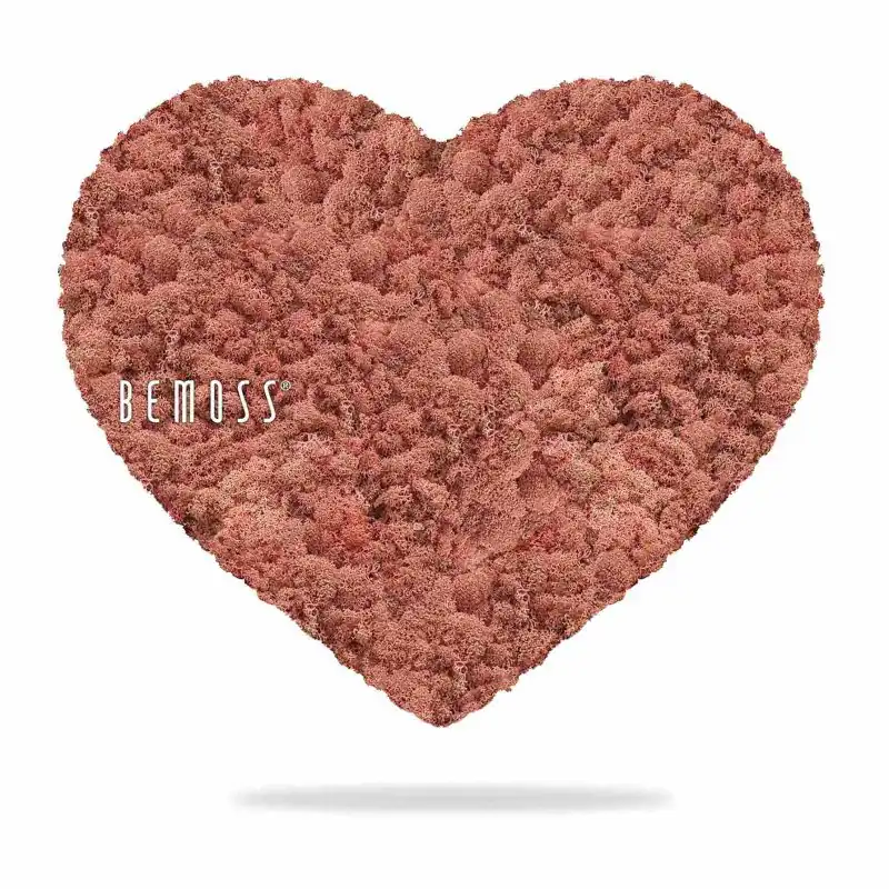 Moos HERZEN ISLANDMOOS mono PINK