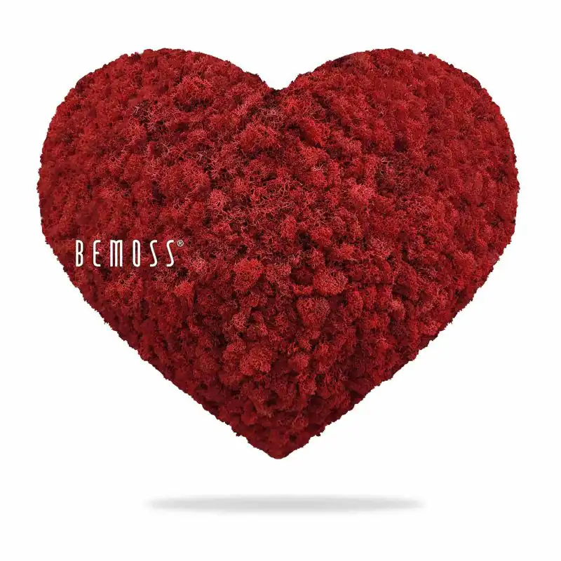 Moos HERZEN ISLANDMOOS mono RED