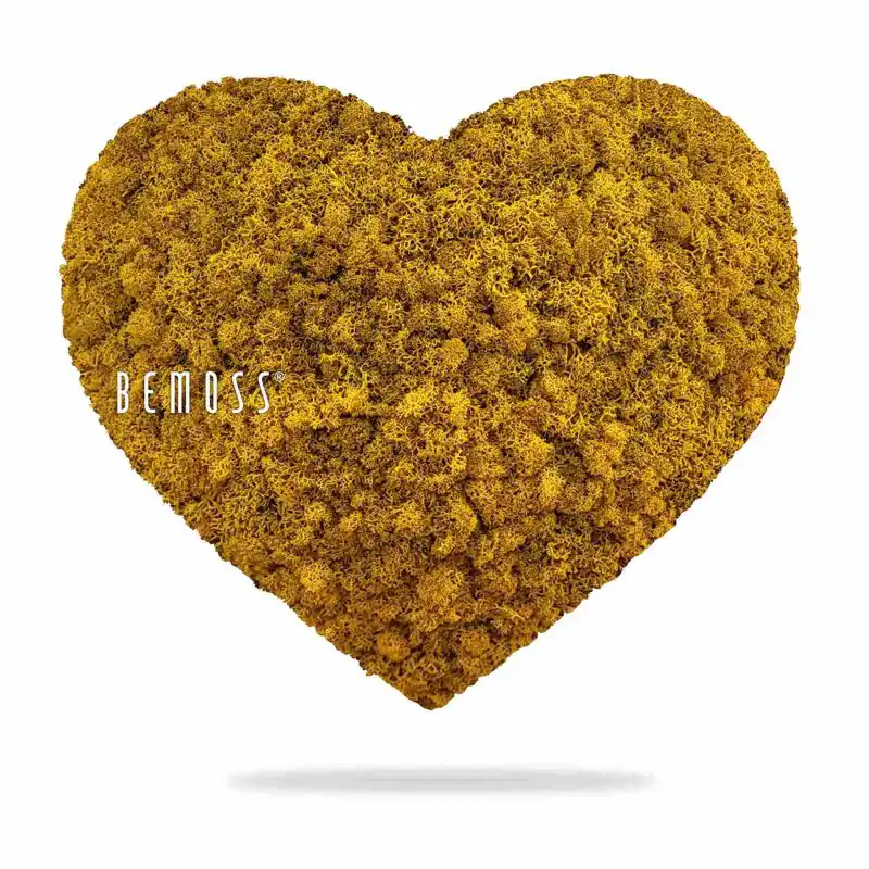 Moos HERZEN ISLANDMOOS mono YELLOW