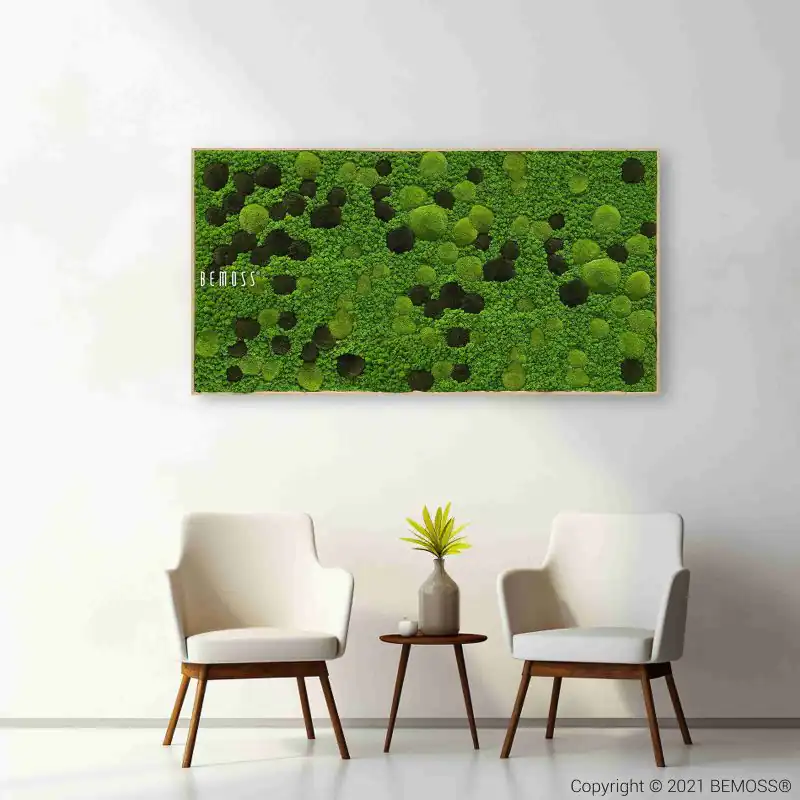 Moosbild BEMOSS® ORTHO MONETO XXL