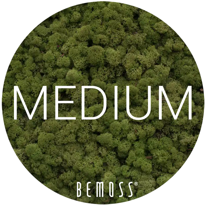 2 Medium