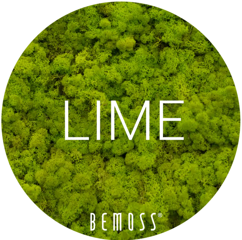 4 Lime