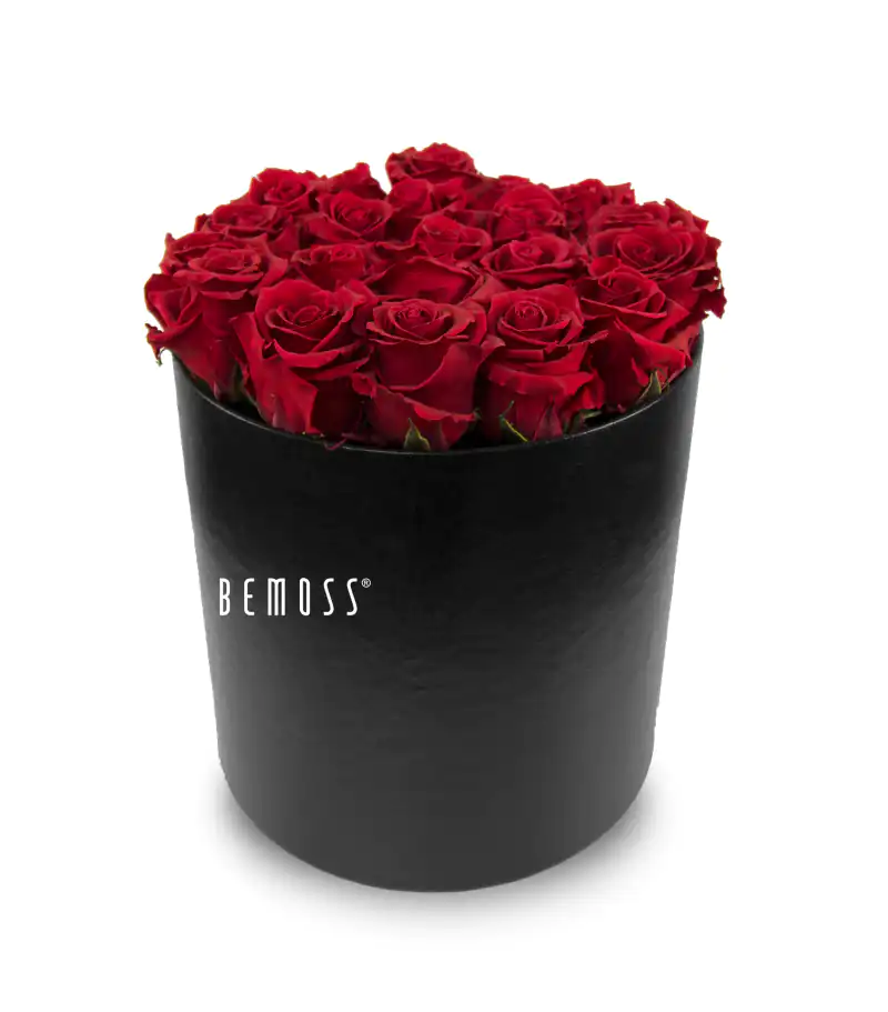 Konservierte Rosen Salar