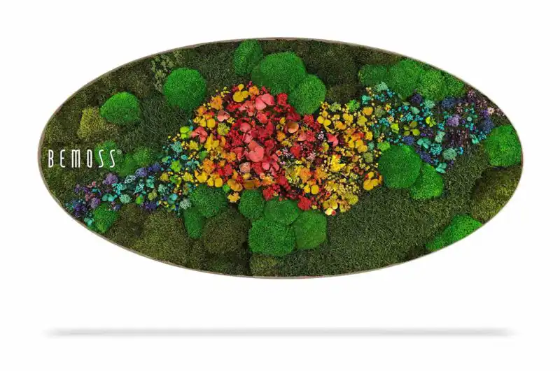 Moosbild Ellipse PFLANZEN Acebo