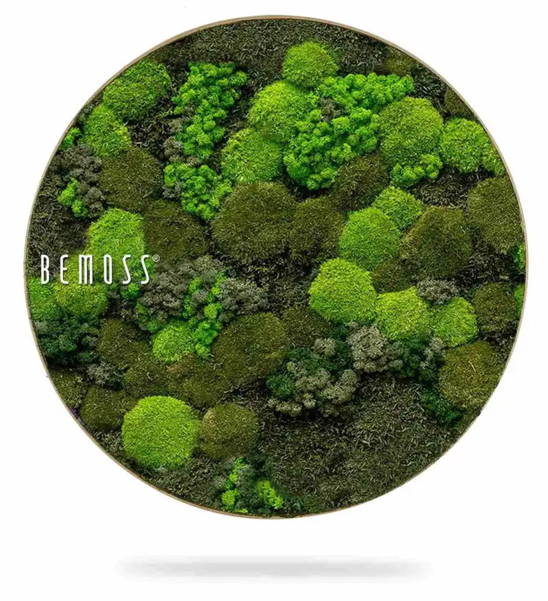 Moosbild Rund BEMOSS® ORTHO DOVEN