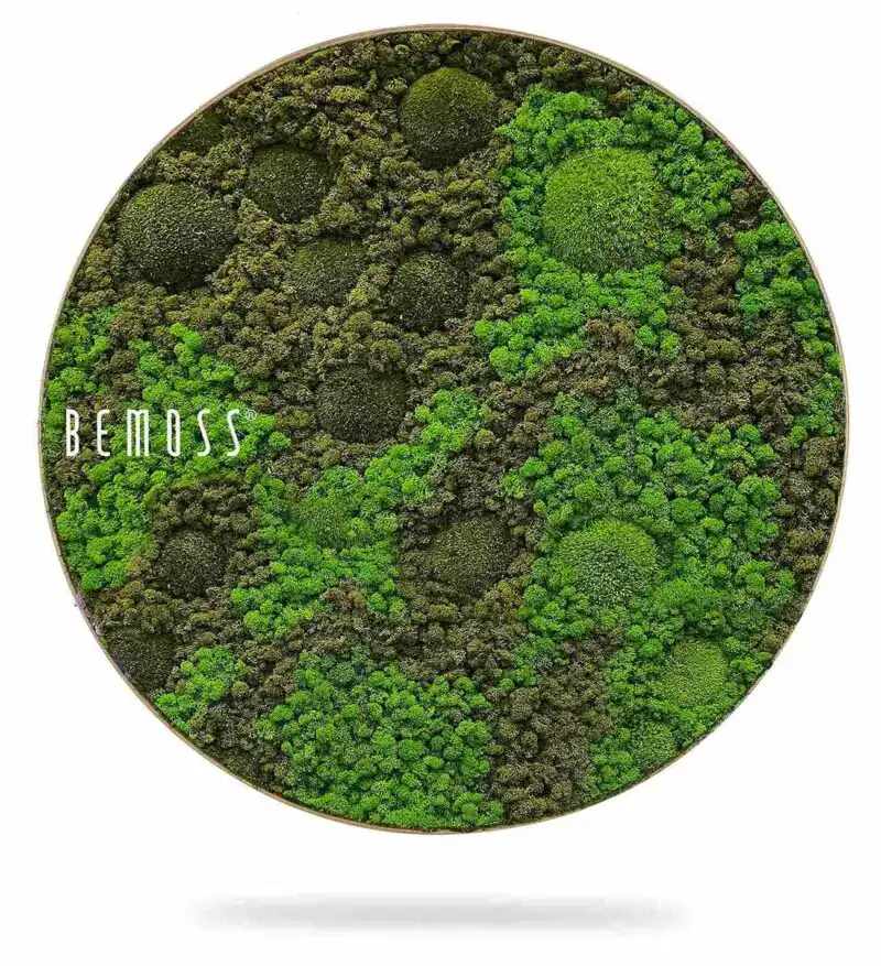 Moosbild Rund BEMOSS® ORTHO ASEL