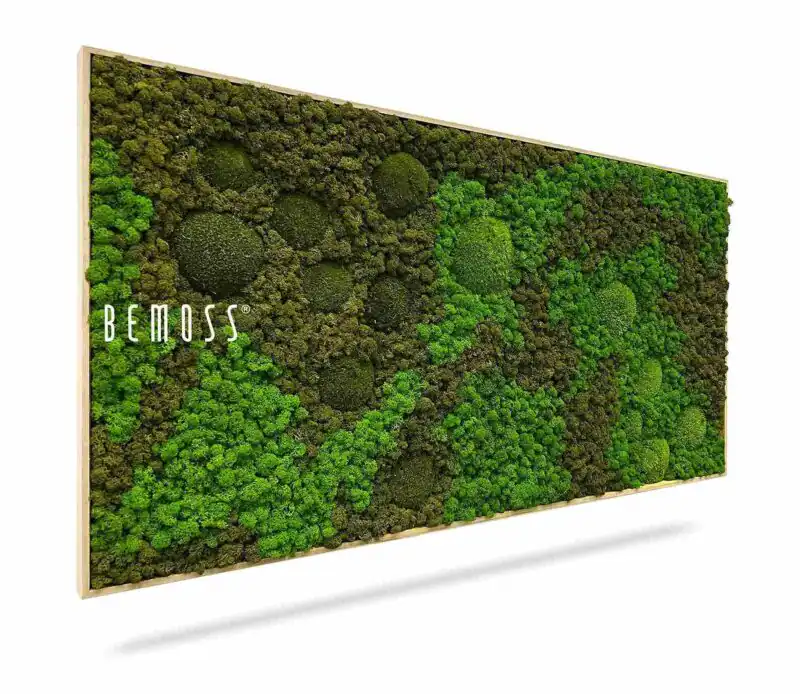 Moosbild BEMOSS® ORTHO ASEL