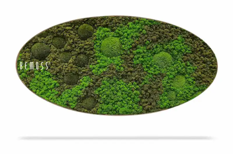 Moosbild Ellipse BEMOSS® ORTHO ASEL