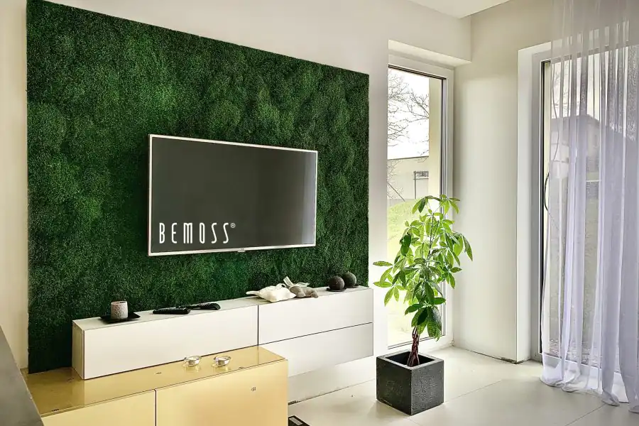 obývačka s televízorom a rastlinou vo váze na stene a oknom za ňou, environmentálne umenie , machovy obraz, stabilizovany mach, machová stena, machová dekorácia